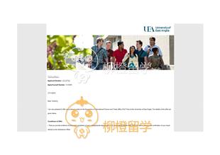 柳橙网成功案列offer展示