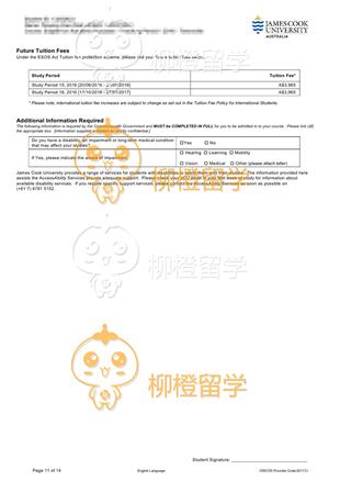 柳橙网成功案列offer展示