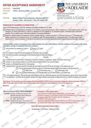 柳橙网成功案列offer展示