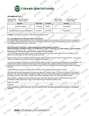 柳橙网成功案列offer展示