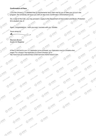 柳橙网成功案列offer展示