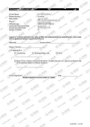 柳橙网成功案列offer展示