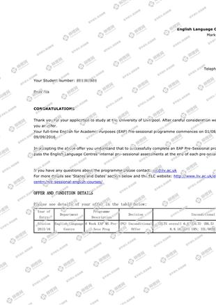 柳橙网成功案列offer展示
