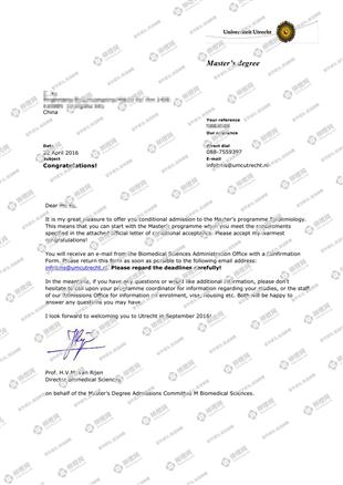 柳橙网成功案列offer展示