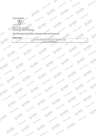 柳橙网成功案列offer展示