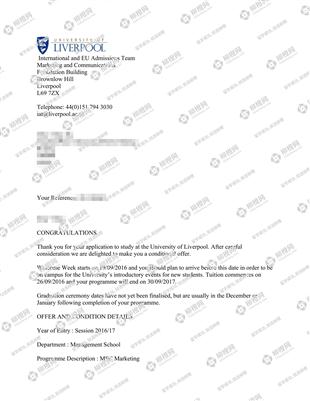 柳橙网成功案列offer展示