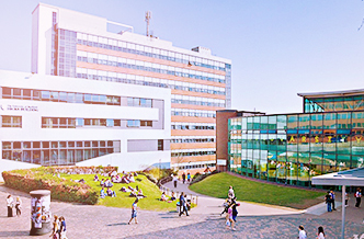 谢菲尔德大学