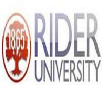 莱德大学