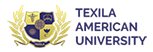 德克萨斯美国大学