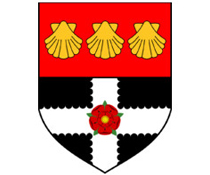 雷丁大学